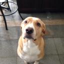 Kami Means - @lovekami12 - Twitter