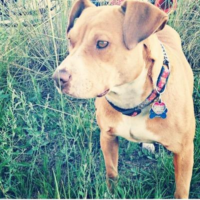 villagrana2002's profile picture. 