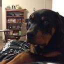 Jeffrey Goad - @Goadnutz - Twitter