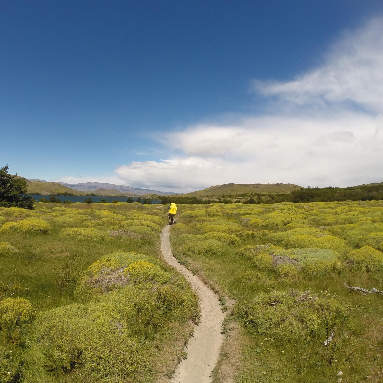 Twitter y Blog dedicados a ayudar con datos a viajeros que están a punto de comenzar un nuevo recorrido. Ecoturismo :)