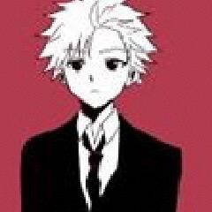 Killua Zoldyck, Professional Profile