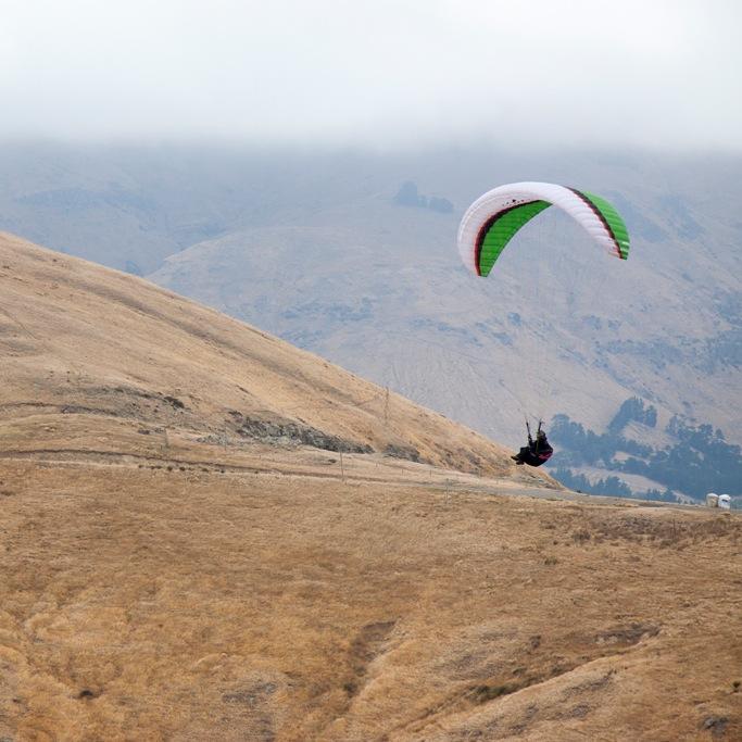 pacman_mora's profile picture. 