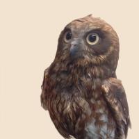 Nob (@nob_it) 's Twitter Profile