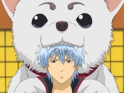 [v] @RPkingdomID | Sakata Gintoki deeesu, do you need some help?YOROZUYA GIN will help you! Awas Darah Tinggi! | IC/OOC INA/ENG