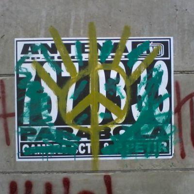 Niwe_Visual's profile picture. Art Studio