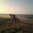 dody_fody's profile image