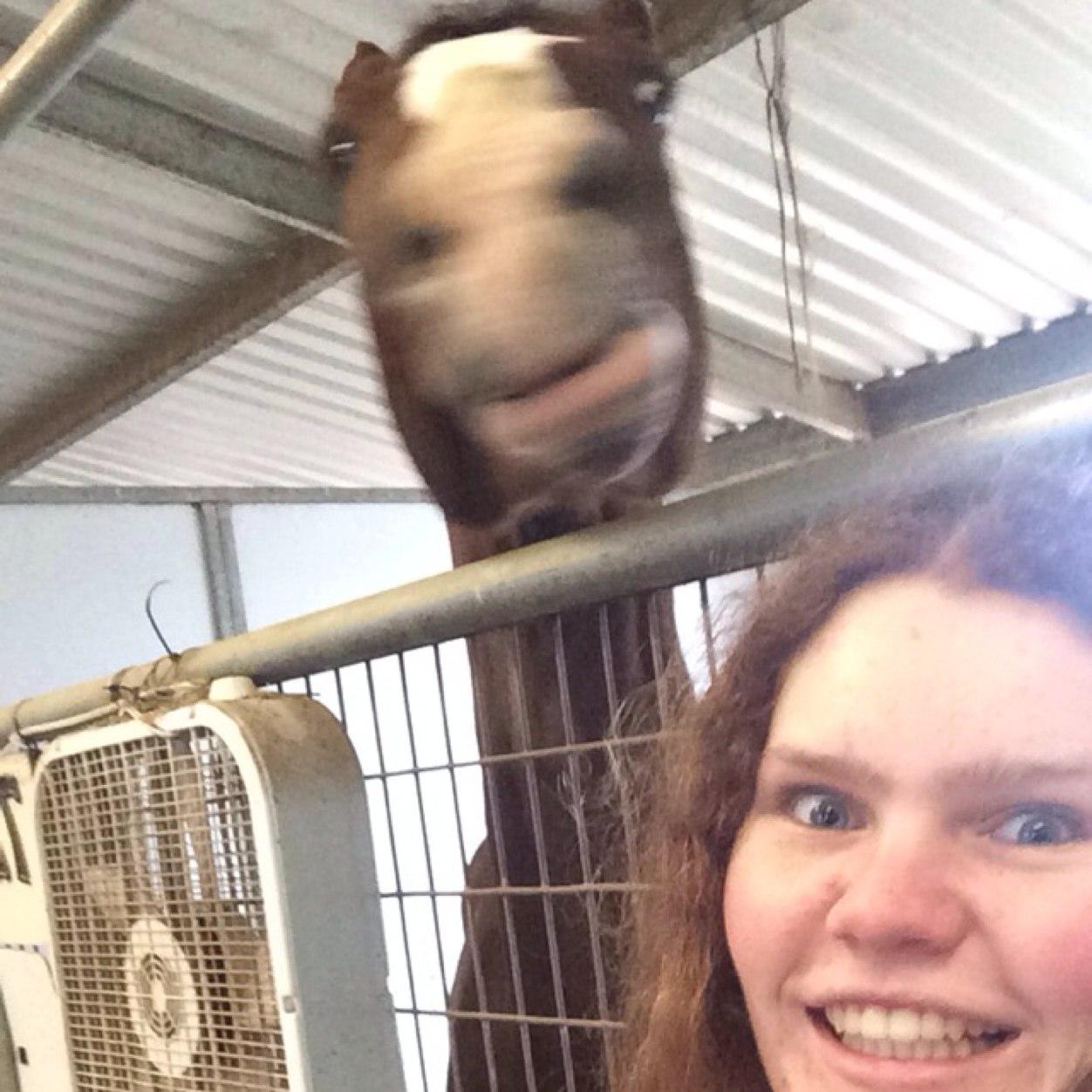 jlboyers9's profile picture. Never let the fear of striking out get in your way. -Babe Ruth