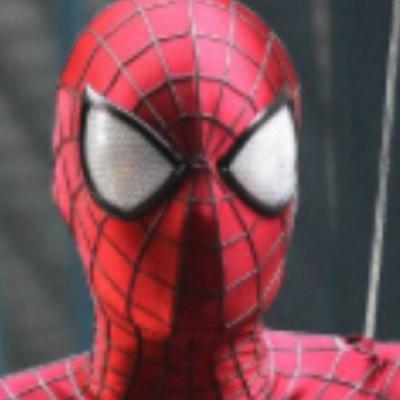 The Amazing Spider-Man #Single i like to fight crime