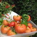 Bruce Mack - @astudent4u - Twitter