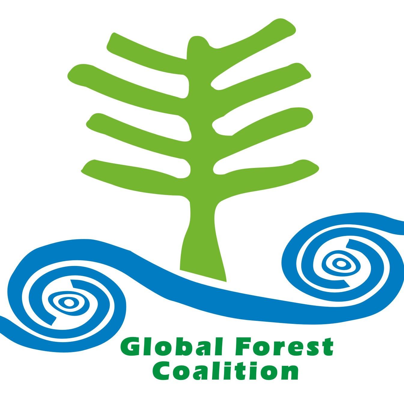 International & feminist coalition of NGOs, Indigenous Peoples' Organizations & women's rights groups defending social justice and the rights of forest peoples