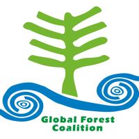 Global Forest Coalition (GFC)(@GFC_forests) 's Twitter Profile Photo