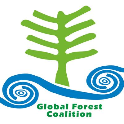 Global Forest Coalition Webinar on Carbon Removals: Unravelling