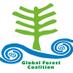 Global Forest Coalition (GFC) Profile picture