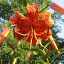 Sharon Luth - @sharon_l_77 - Twitter