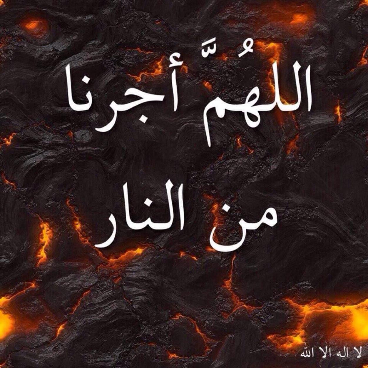 نموت ماعشنا على الرزق الذليل * والنفس نجبرها على حب الصبر * لو ما نطول التمر في روس النخيل * نموت ما ناكل من الطايح تمر