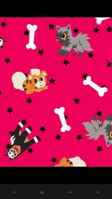 ぽけもん/まいめろ/らぶらいぶ/あにめ/おえかき/かめら/どくしょ/えいが/自由気ままに｡｡｡