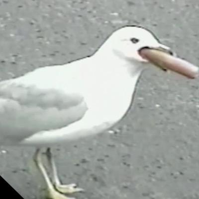 bernie_200's profile picture. sup follow me @bernie_200