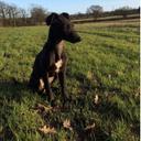 ryan alderman - @Ryan415Ryan - Twitter