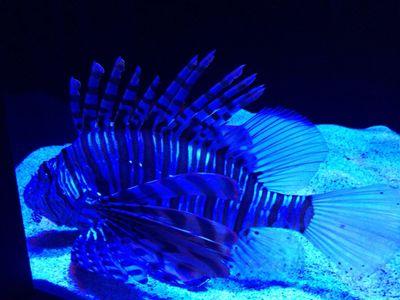 Abisola0207's profile picture. 