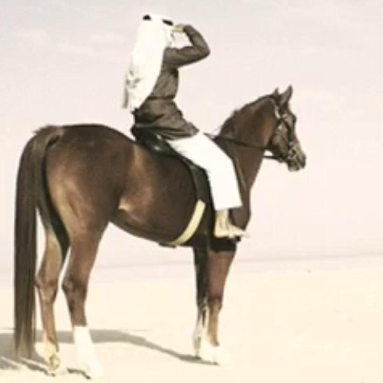 He2eH Profile Picture