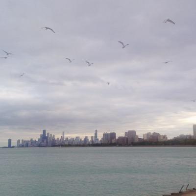 SafaFallatah's profile picture. 