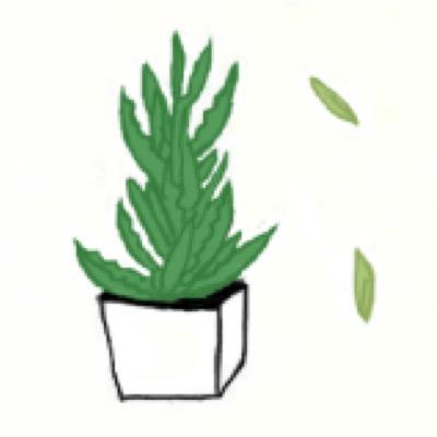 ♡ lil plant bringing happiness ♡