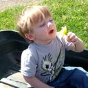 Patti Hess - @bloomerbear - Twitter