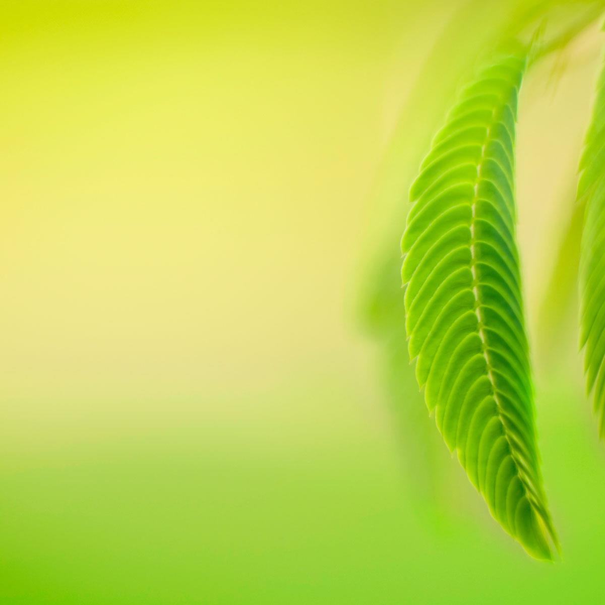 jyhjqw's profile picture. 