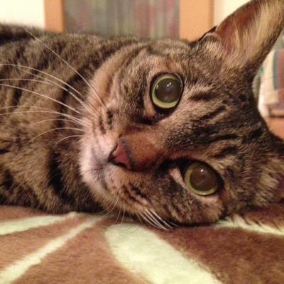 I want to make friends with world people. Please respond. I live in Japan. (*^◯^*)