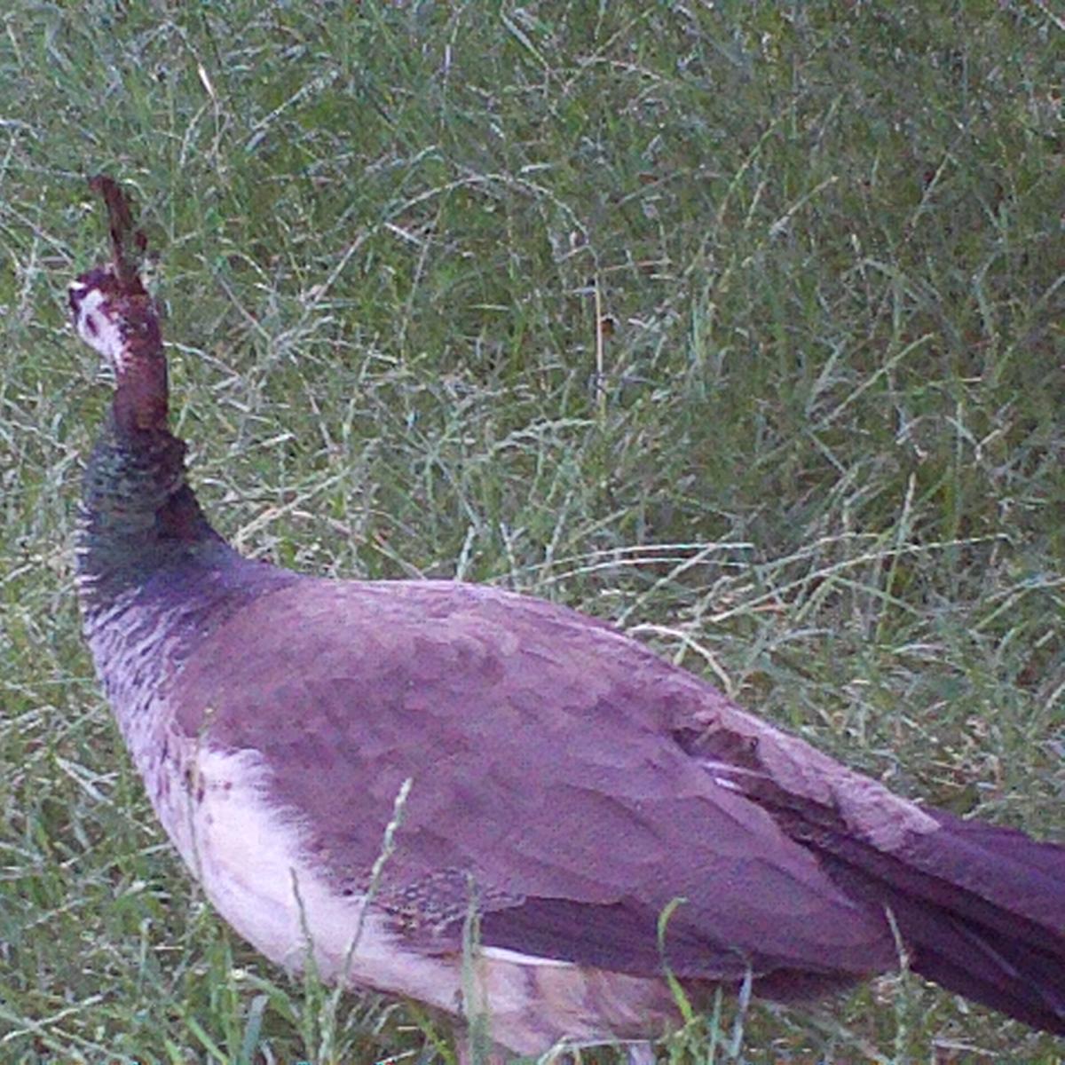 Wolfgang1De's profile picture. http://t.co/v6S3F6VinV