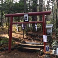 xxplatypusxx (@xxkotohaxx) 's Twitter Profile