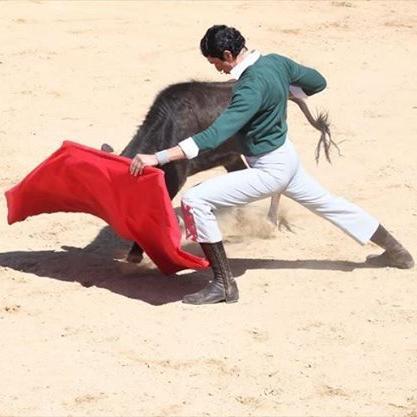 JuanPecoGarcia's profile picture. 