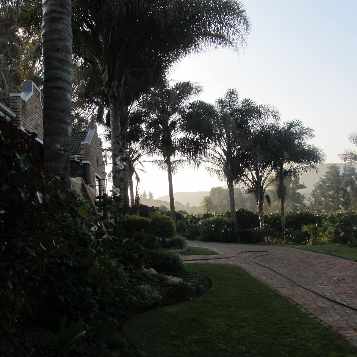 magelaai1's profile picture. 