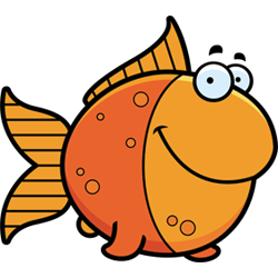 Help & advice for fish keepers. #fishkeeping #fish