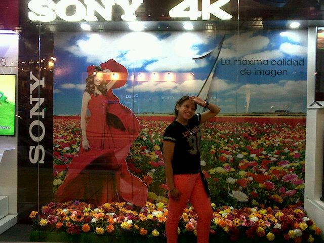 thamygir's profile picture. Msc. Ingeniería Industrial