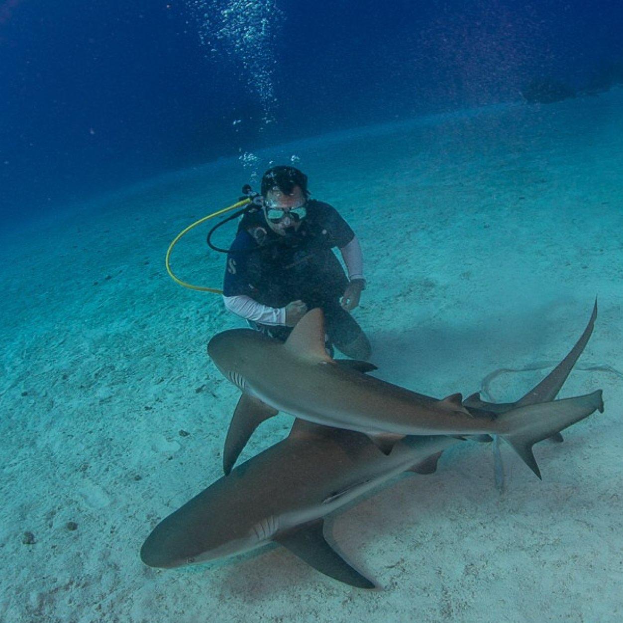 RobertBest63's profile picture. 