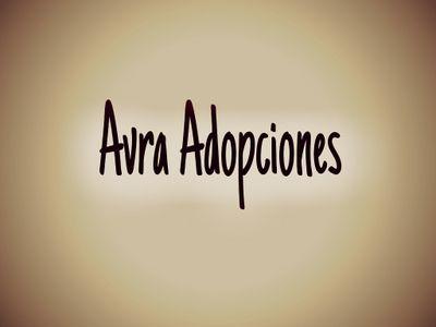 Nos dedicamos a rescatar animales abandonados y maltratados. rehabilitarlos y buscarles una familia responsable.