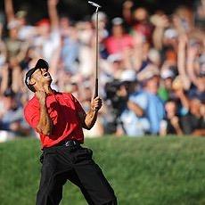 d0zerXL's profile picture. 