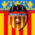 Noticias ValenciaCF (@valenciacfaldia) Twitter profile photo