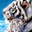 landon_kevin's profile image