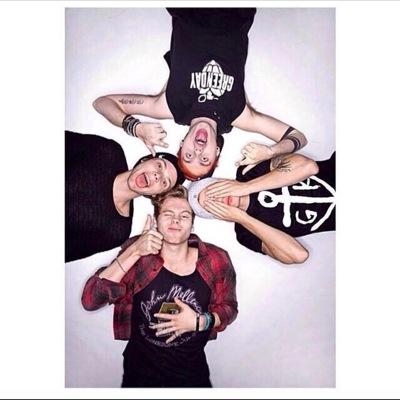 follow @calumlittlebird