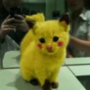 Paul Hirschmann  - @paul_jolly12369 - Twitter