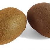 Is it a testicle or a fruit?