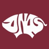 ANAS (@suinianas) 's Twitter Profile