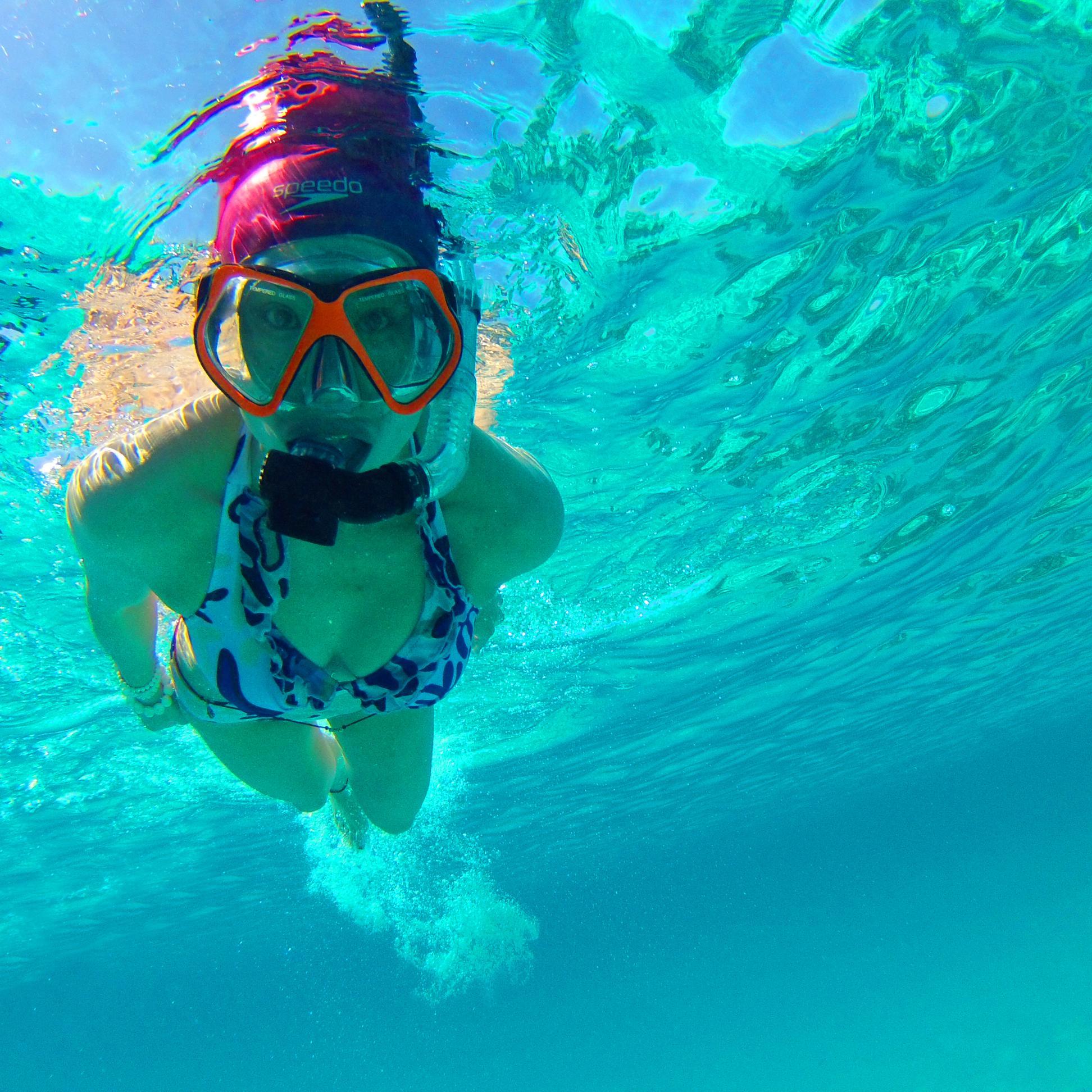 TweetsJG's profile picture. Crafty housewife working from home and tweeting whatever looks interesting - news, tech, home and garden.