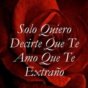 hola busco amistades que no sean malos rrollos y de buen corazón  no importa preferencia sexuales soy de mente abierta dejo mi correo margutmed@outlook.com
