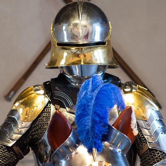 Logis seigneurial du Bâtard d'Orléans, venez revivre l'Histoire médiévale entre ses murs. De prestigieux personnages y sont passés avant vous...
