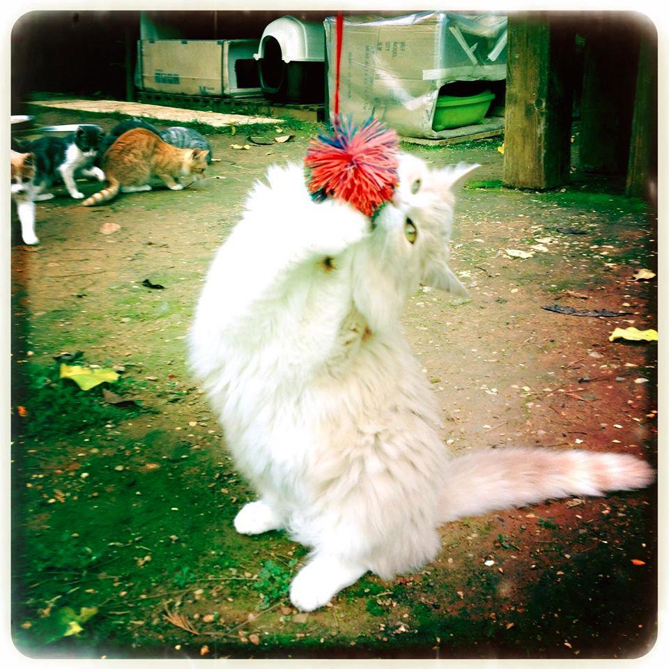 AnaParamani's profile picture. 