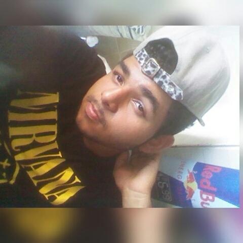 shuashuas