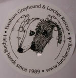 EGLR help sick and abandoned Greyhounds and Lurchers in the UK